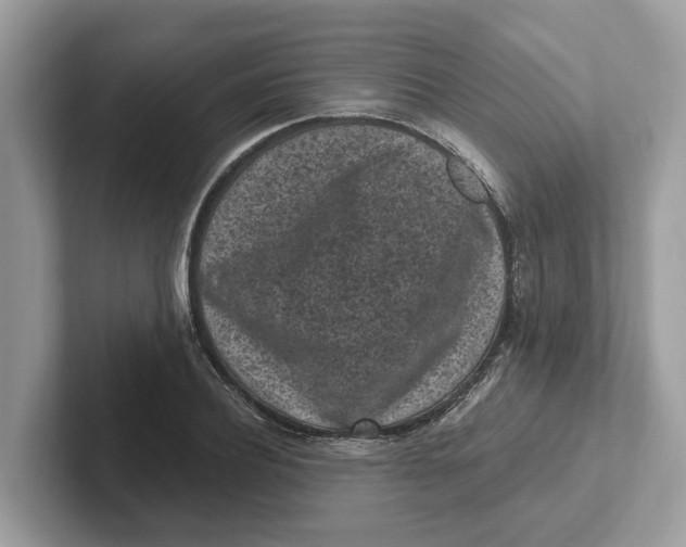 X0000101460932200807280956