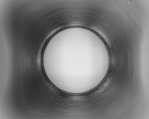 X0000101460933200807280956