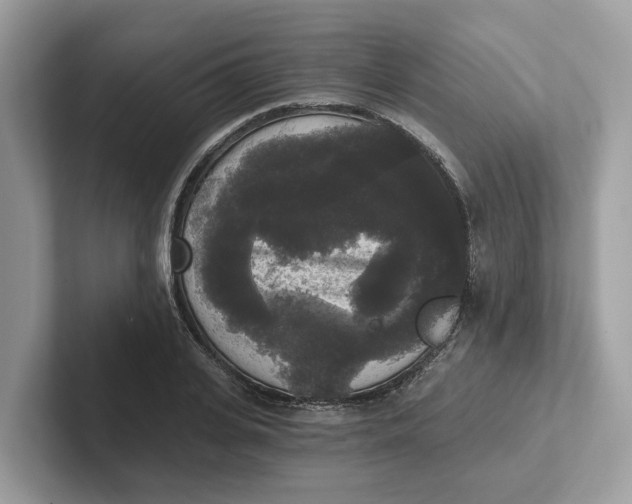 X0000101460935200807280956