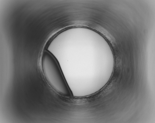 X0000101460936200807280956