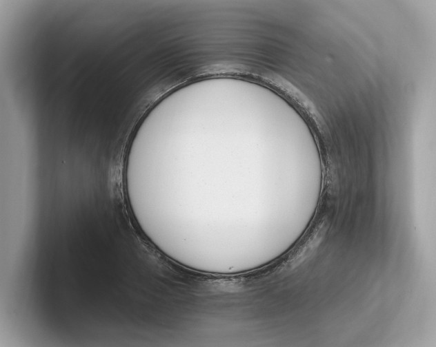 X0000101460937200807280956