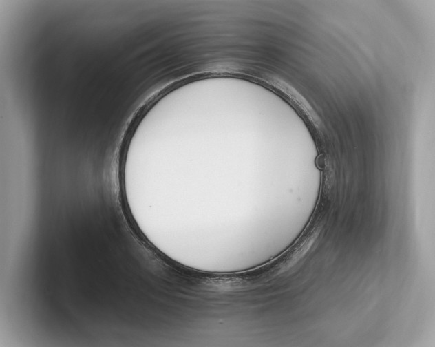 X0000101460939200807280956