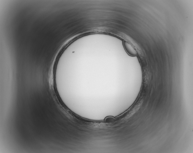 X0000101460940200807280956