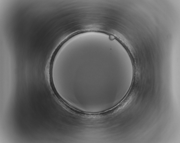 X0000101460941200807280956