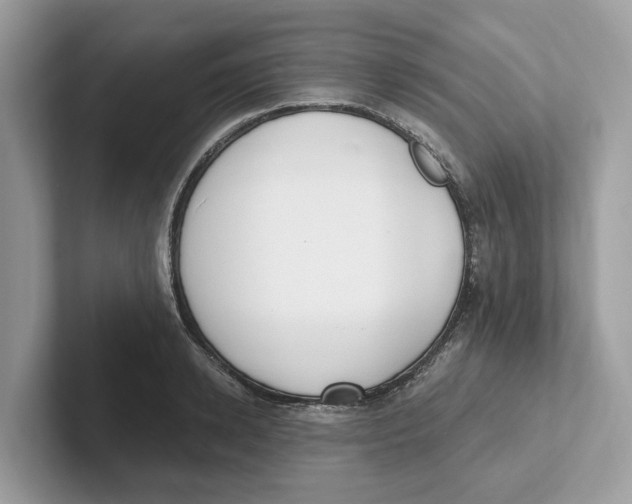 X0000101460942200807280956