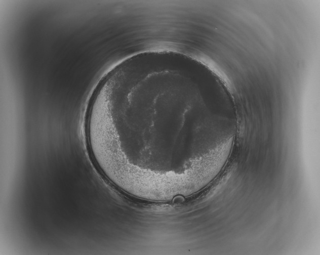 X0000101460943200807280956