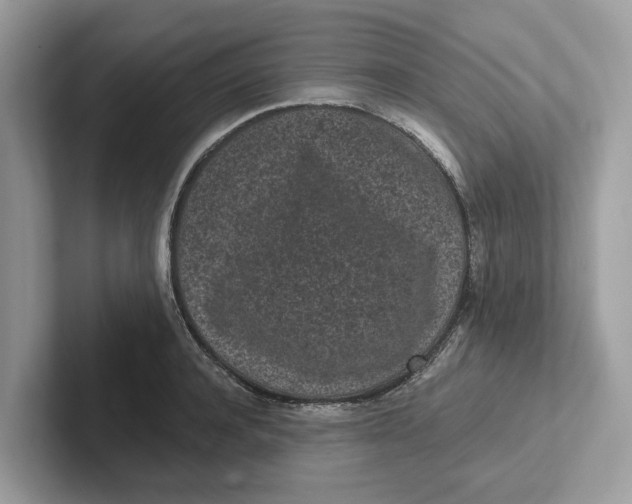 X0000101460944200807280956