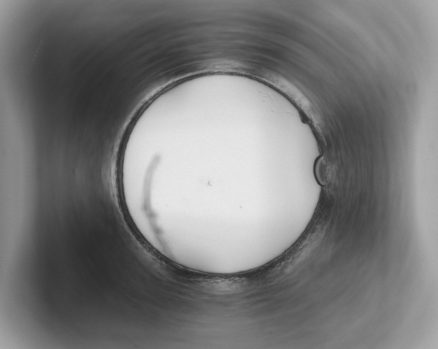 X0000101460947200807280956