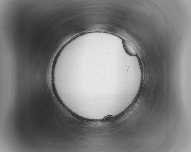 X0000101460949200807280956