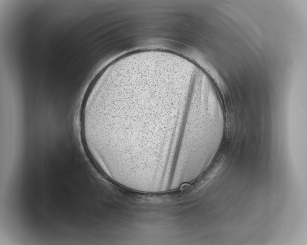 X0000101460951200807280956