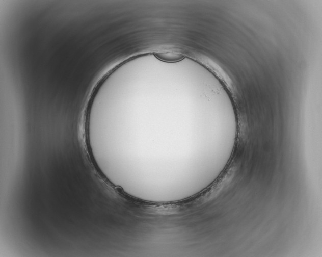 X0000101460952200807280956