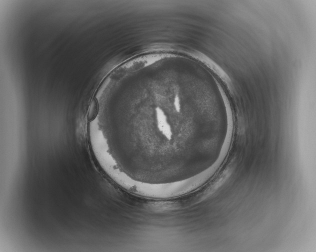 X0000101460953200807280957