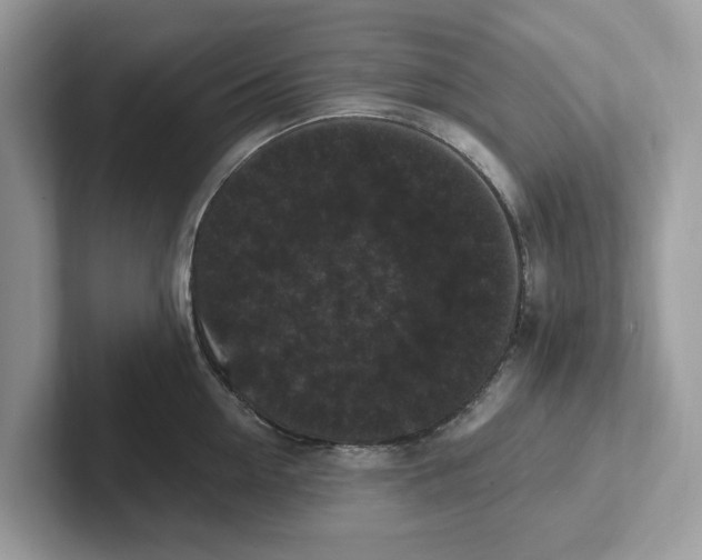 X0000101460954200807280957