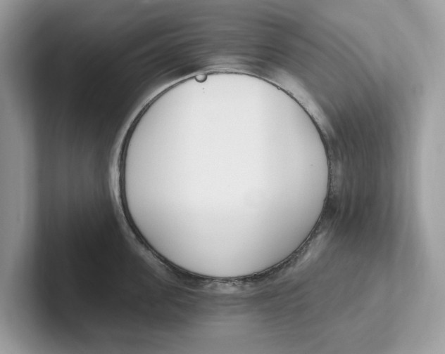 X0000101460955200807280957