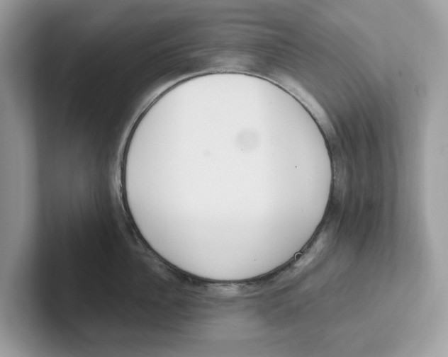 X0000101460956200807280957