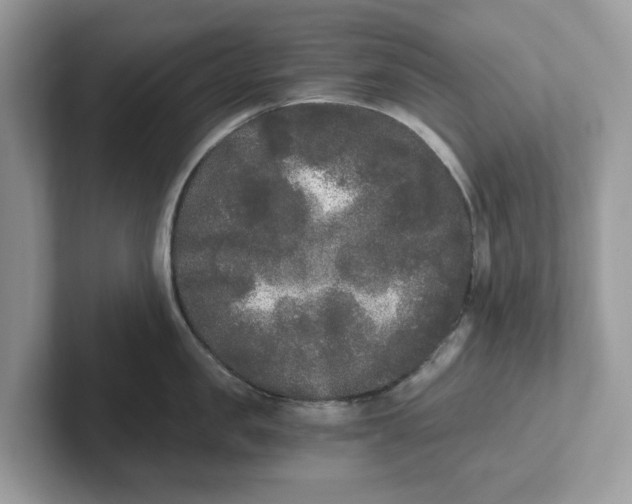 X0000101460957200807280957