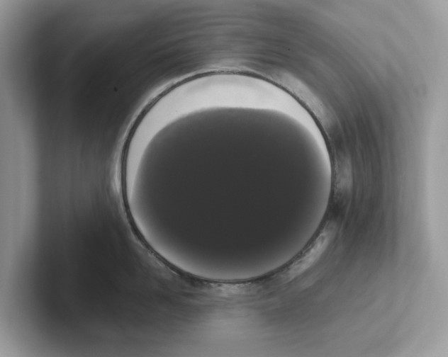 X0000101460958200807280957