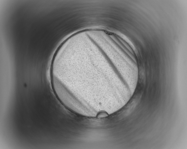 X0000101460959200807280957