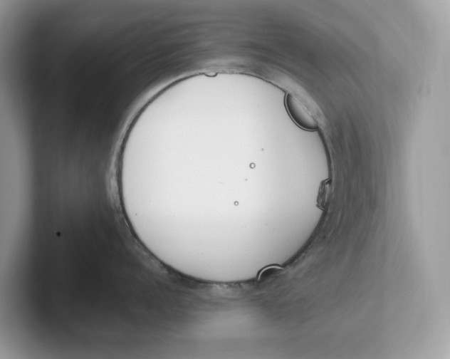 X0000101460960200807280957