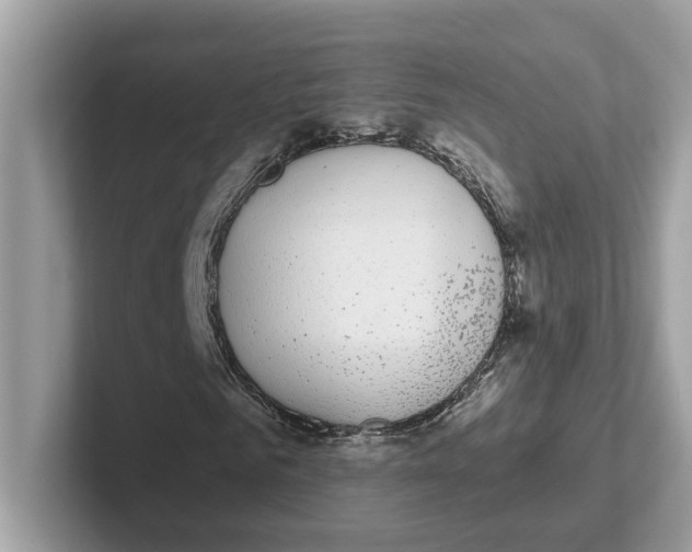 X0000101460961200807280956