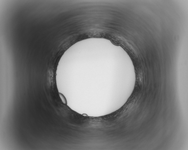 X0000101460964200807280956