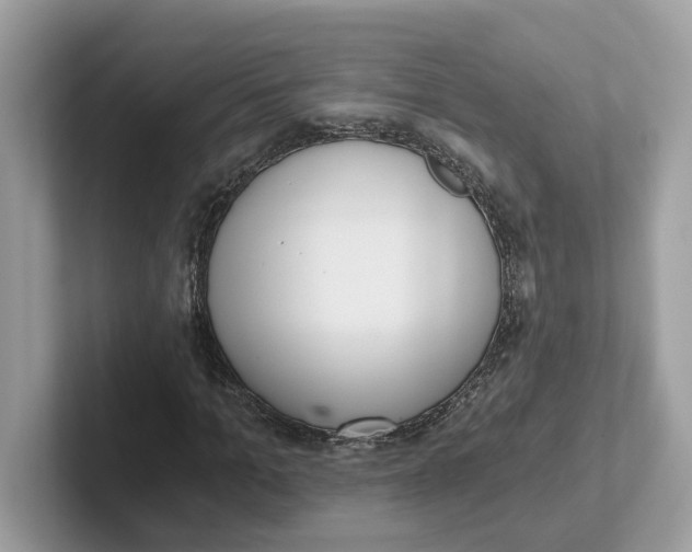 X0000101460965200807280956