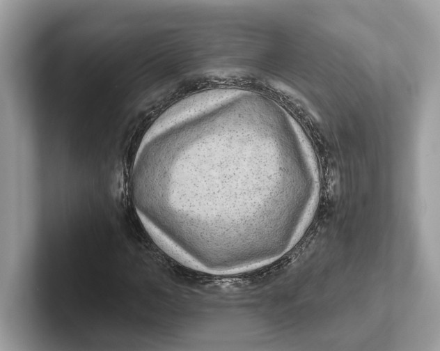 X0000101460966200807280956