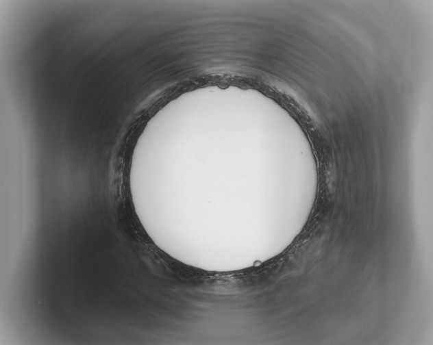 X0000101460968200807280956