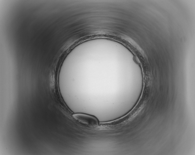 X0000101460969200807280956