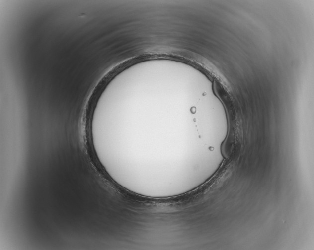 X0000101460976200807280956