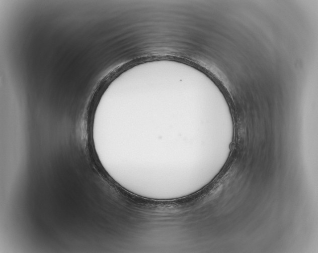 X0000101460979200807280956