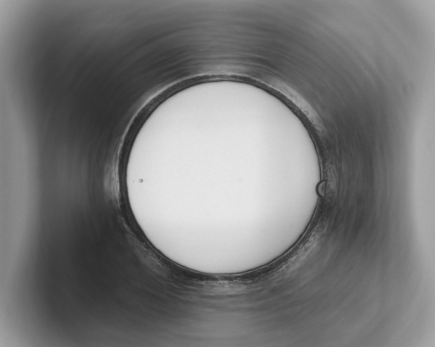 X0000101460980200807280956