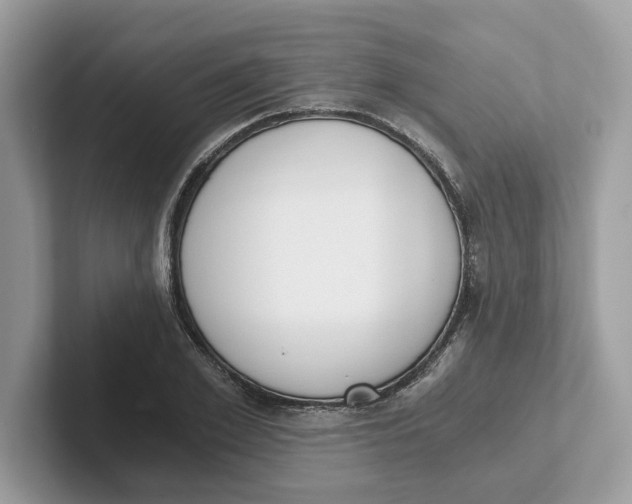 X0000101460981200807280956