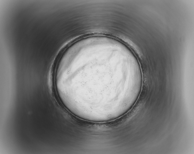 X0000101460983200807280956