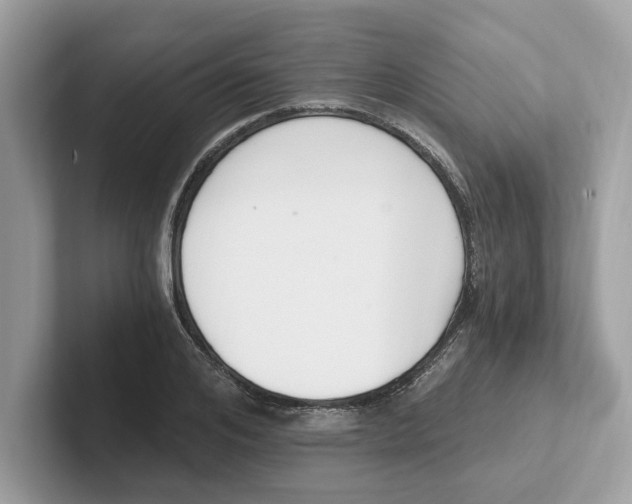 X0000101460984200807280956