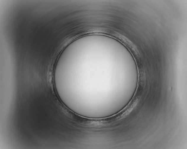 X0000101460985200807280956