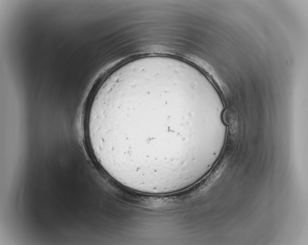 X0000101460987200807280956