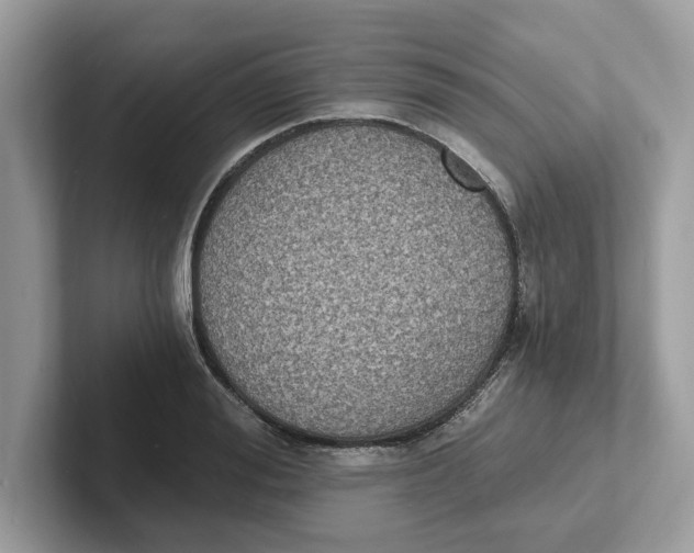 X0000101460988200807280956