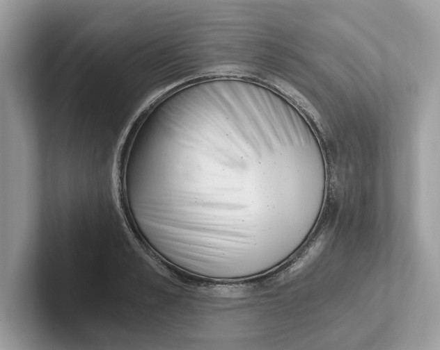 X0000101460989200807280956