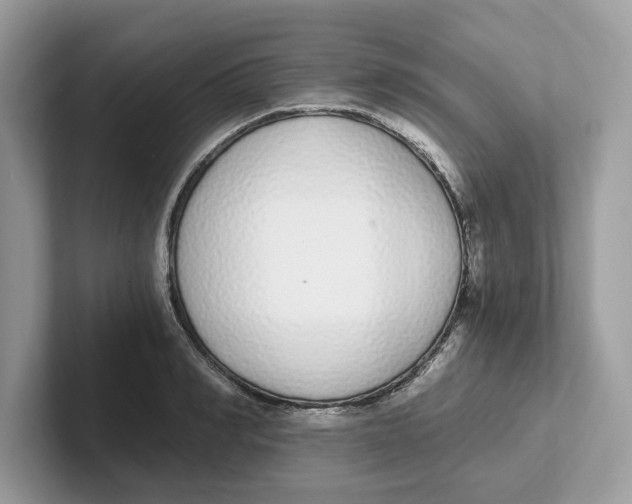 X0000101460990200807280956