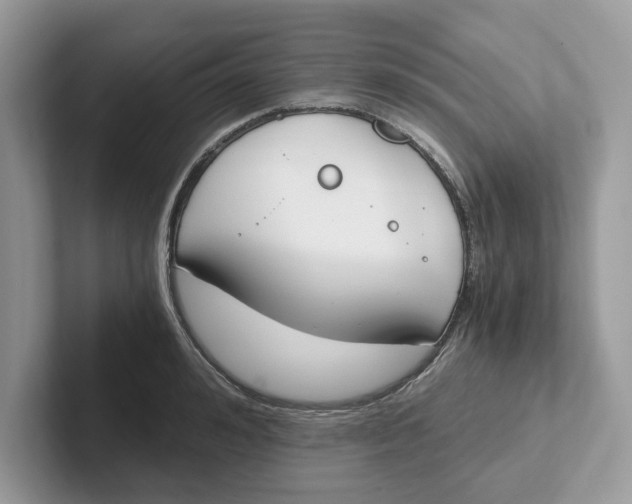 X0000101460992200807280956