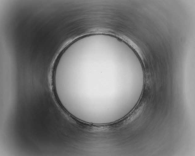 X0000101460997200807280956