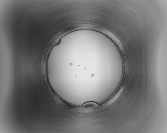 X0000101461001200807280955