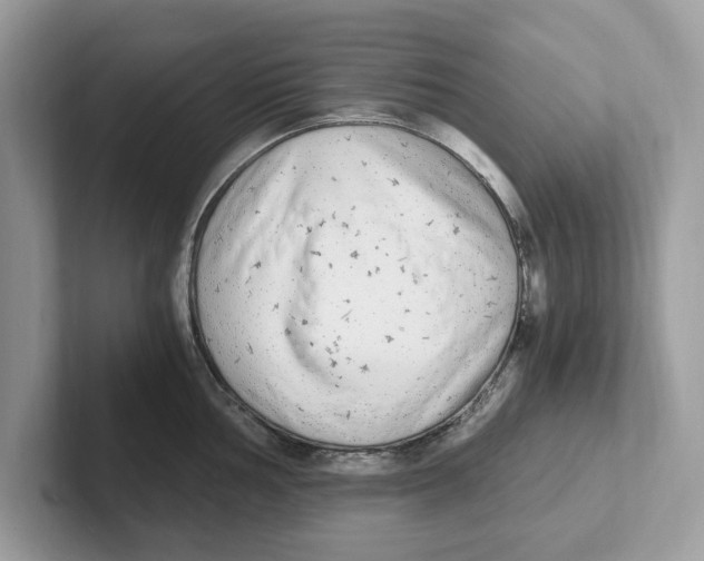 X0000101461002200807280955