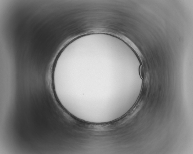 X0000101461005200807280955