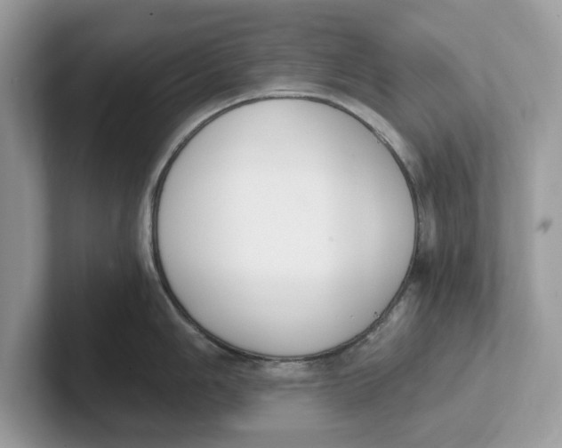 X0000101461006200807280955