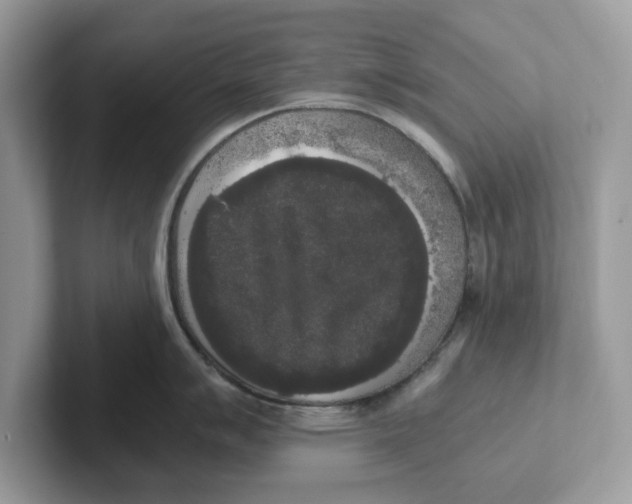 X0000101461007200807280955