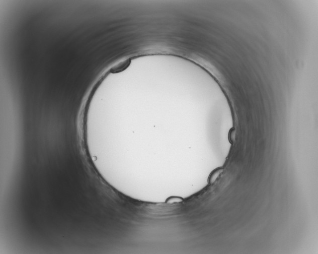 X0000101461008200807280955