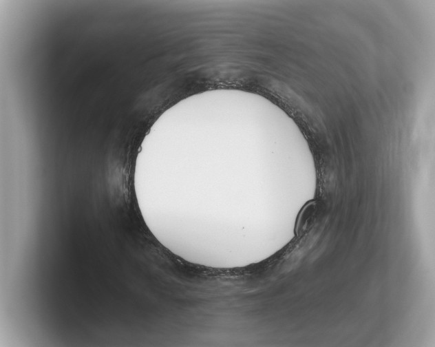 X0000101461010200807280955