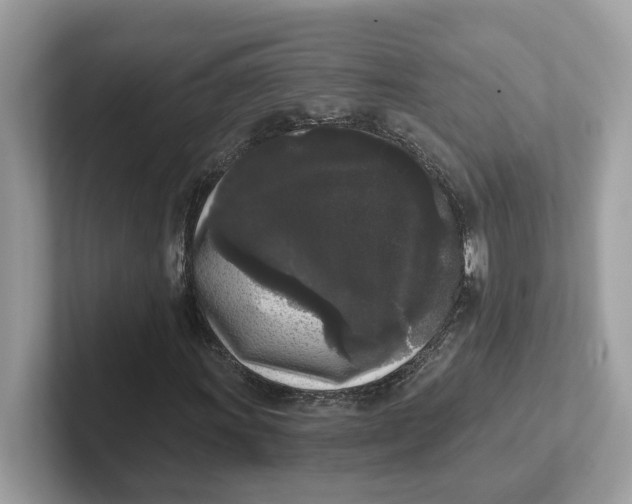 X0000101461011200807280955